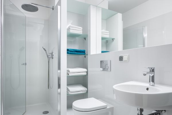 Shower Fitting